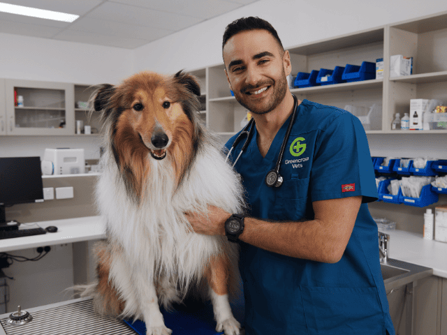 Greencross Vets
